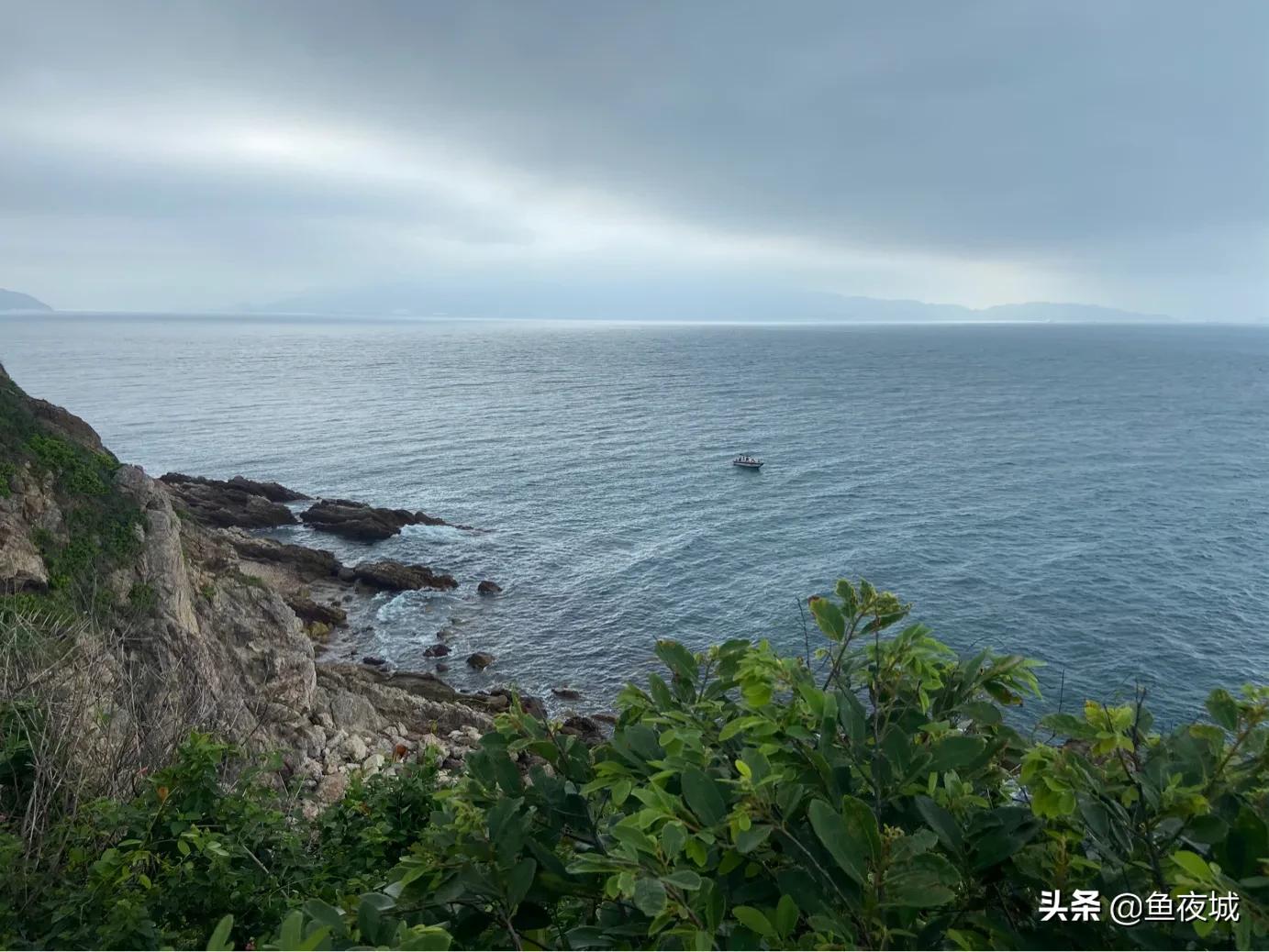 可以获得收益的自媒体平台,财经自媒体哪些平台收益高