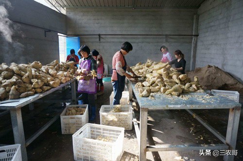 适合30岁在家创业的小本生意,适合农民干的冷门创业