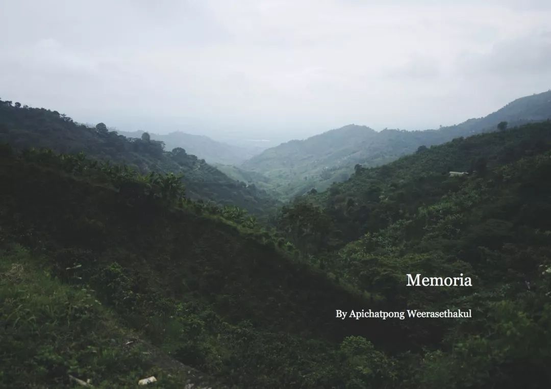 101部必看的电影,2020必看电影清单100部