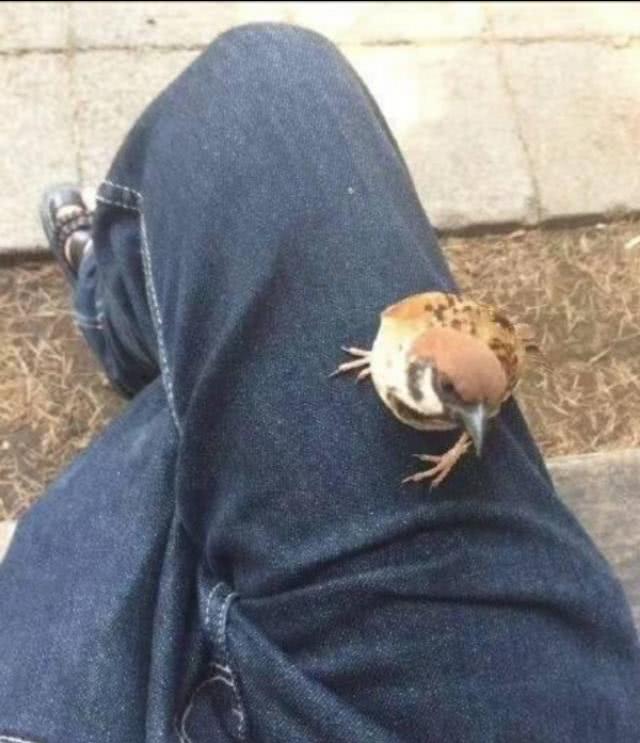 最奇葩的梦话是什么,你听说的最搞笑的梦话