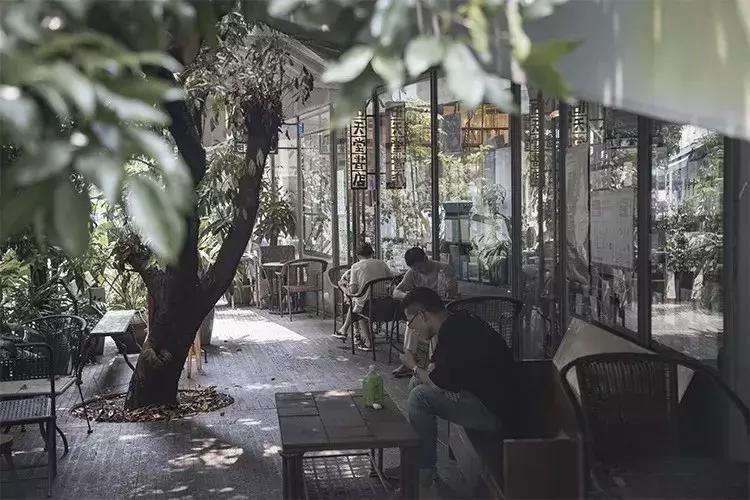 深圳市一日游攻略最佳路线,深圳一日游详细攻略大全最新