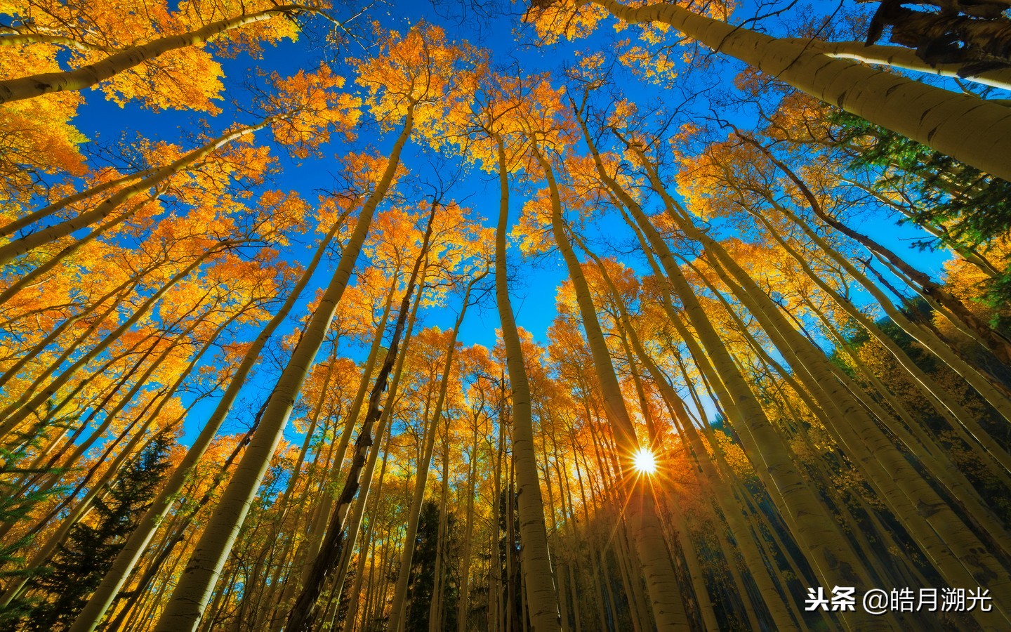 落日千山渐远渐无穷