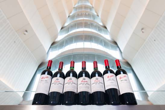 Penfolds奔富Bin389诞生六十周年，珍稀年份垂直品鉴开启