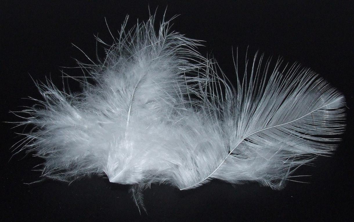 鹅绒羽绒被十大排名,高品质白鹅绒羽绒被推荐