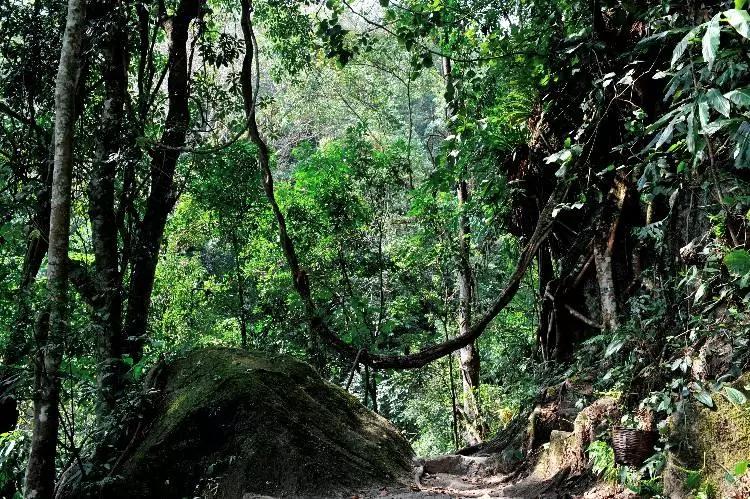 去云南哪里泡温泉最好,云南必去十大景区推荐