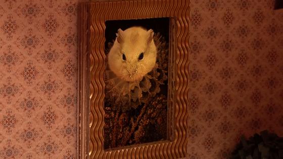 身价300万的仓鼠外网走红！住3层电梯豪宅，丰富娱乐，人不如鼠啊