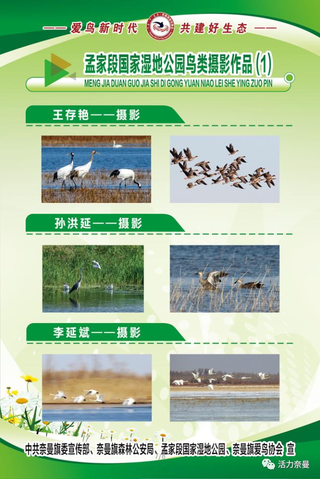 爱鸟周爱鸟护鸟,爱鸟周活动的目的是爱鸟护鸟吗