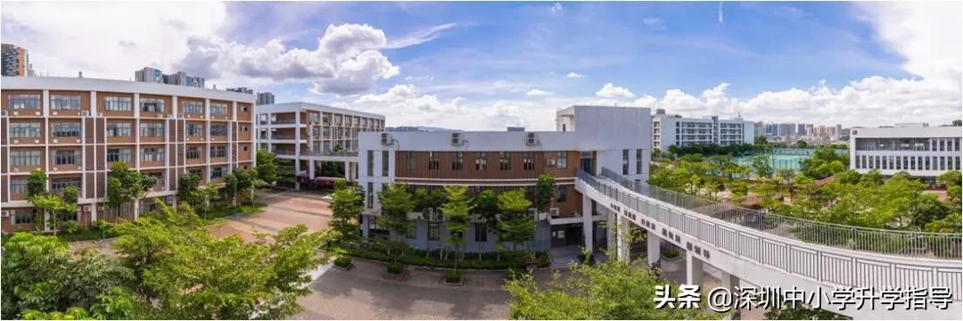 广东2021高考445分,2021年广东高考理科412分专科批