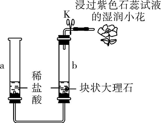 中考化学碳必考知识点,碳和碳的化合物易错点