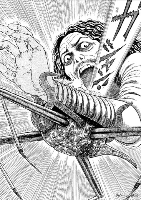 伊藤润二毛骨悚然的鱼去哪里看,伊藤润二鱼深层解析