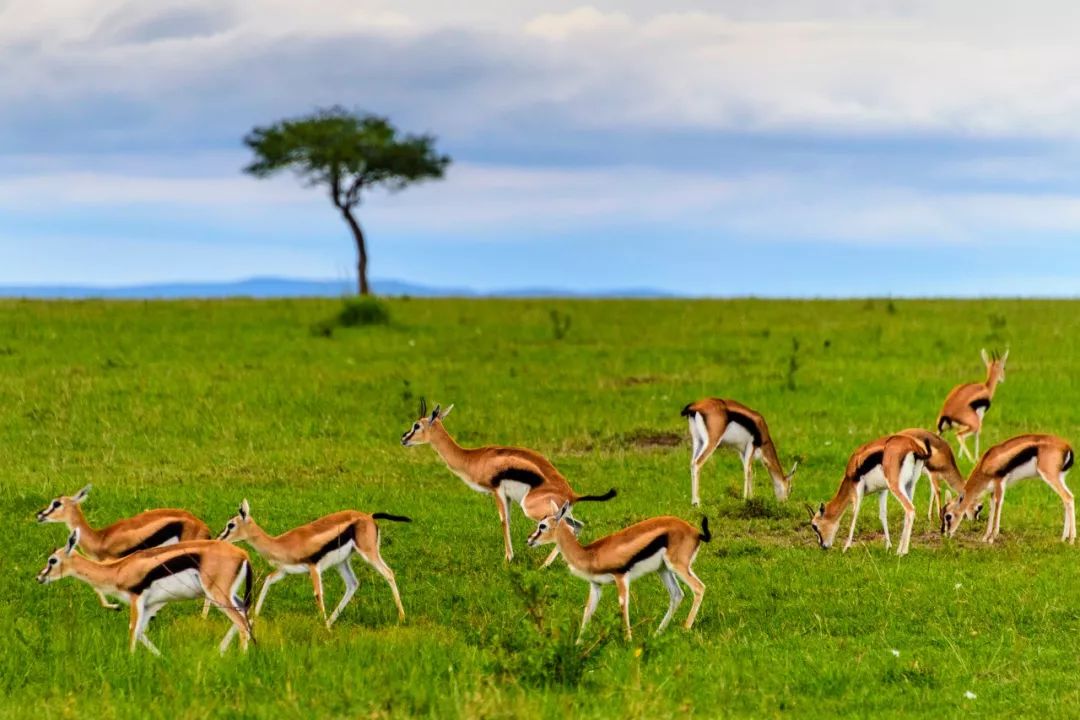 地球上长得最不像地球的地方,世界上最不像地球的地方景色