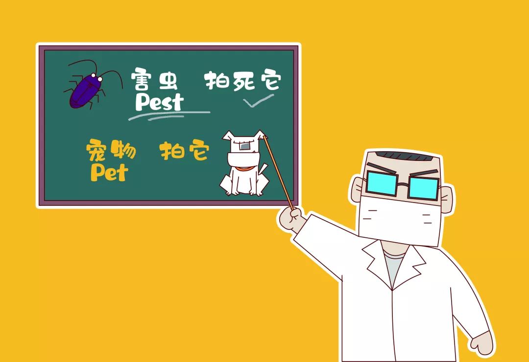 杀蟑螂喷药需要多久,蟑螂喷药能彻底解决吗