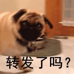 别花冤枉钱！冬天娃的帽子、围巾、袜子要这么选