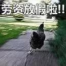 海边度假推荐小众五一,年轻人治愈系五一度假攻略