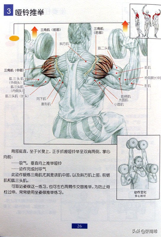 男士健身的进阶之路,男士运动健身全攻略