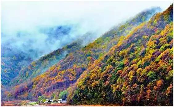 湖北深秋自驾游景点推荐,秋色彩林川西自驾