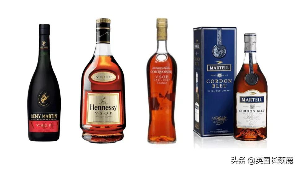 鸡尾酒调酒入门教程,鸡尾酒调酒基础知识入门和精通