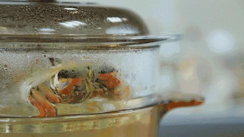 阳澄湖大闸蟹的口感,阳澄湖大闸蟹开始品尝美味了