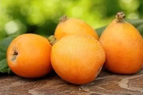 城厢区常太镇首届“壶兰耕读·云上枇杷文化节”暨第22届枇杷节来啦！快来“嗨枇”吧~