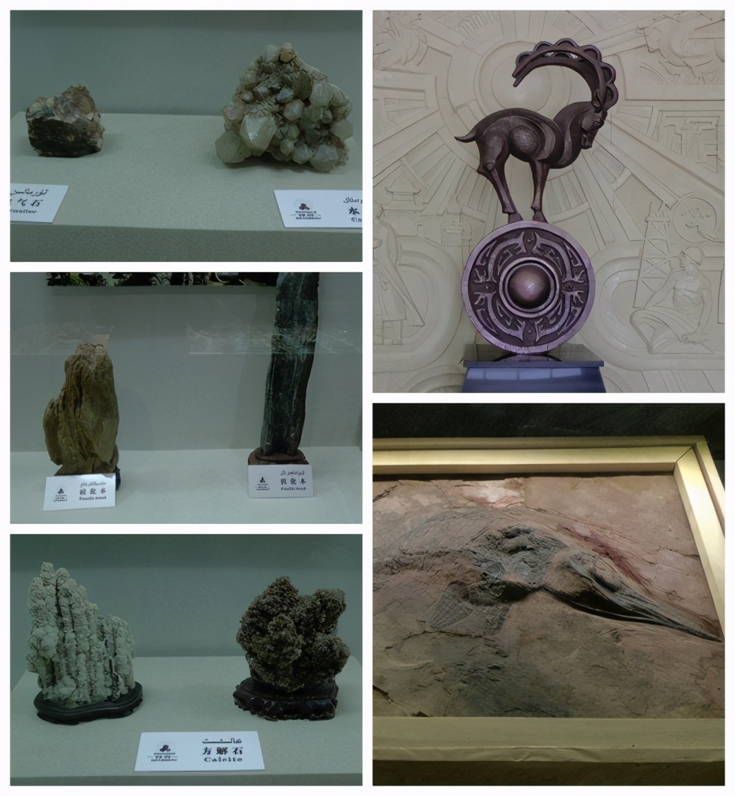 2013年E-1*疆新**东南西北中班车自助游-东