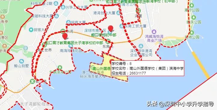 南山五福堂外国语学校,南山外国语学校高中部