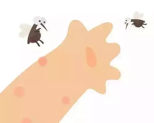 驱蚊水如何驱赶蚊子的,夏天驱蚊子的小妙招自己做