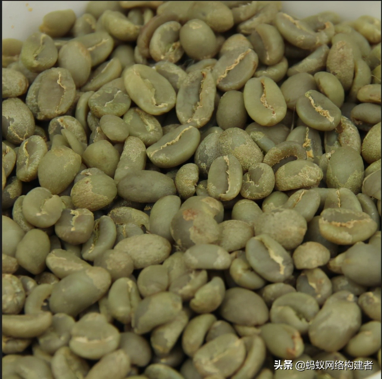 咖啡黑色素含量,咖啡黑色衣服