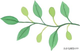 为什么对外经济贸易大学出国率这么高？