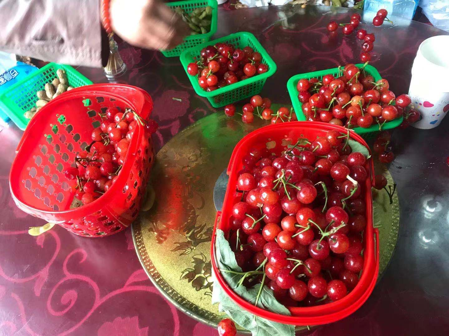 成都周边休闲圣地推荐,成都附近游玩推荐一日游