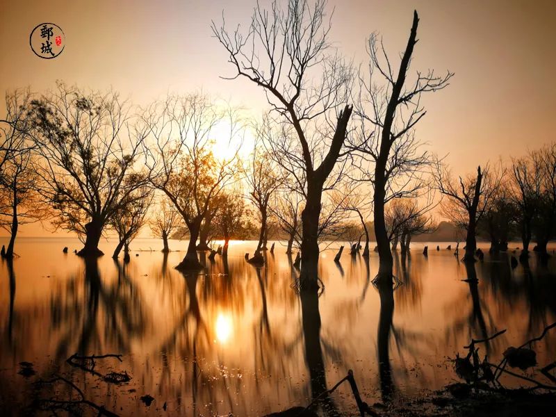 高邮咸鸭蛋什么季节吃,高邮咸鸭蛋几月好吃