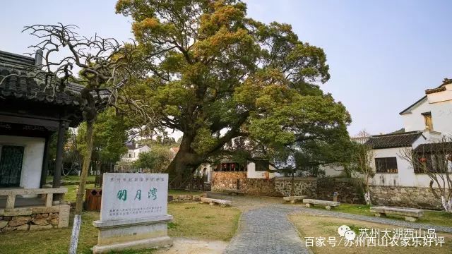 上海自驾游西山农家乐,上海农家乐旅游推荐