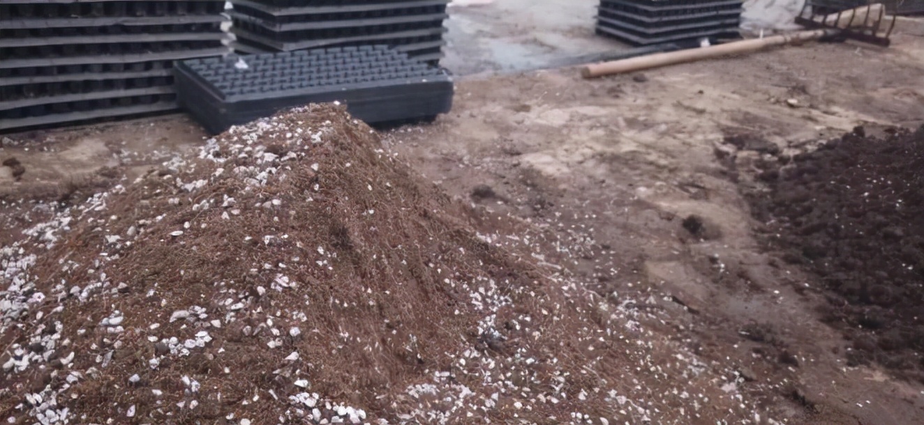 粪肥的正确使用方法和注意事项,哪种粪肥养分最高你一定弄错了吧