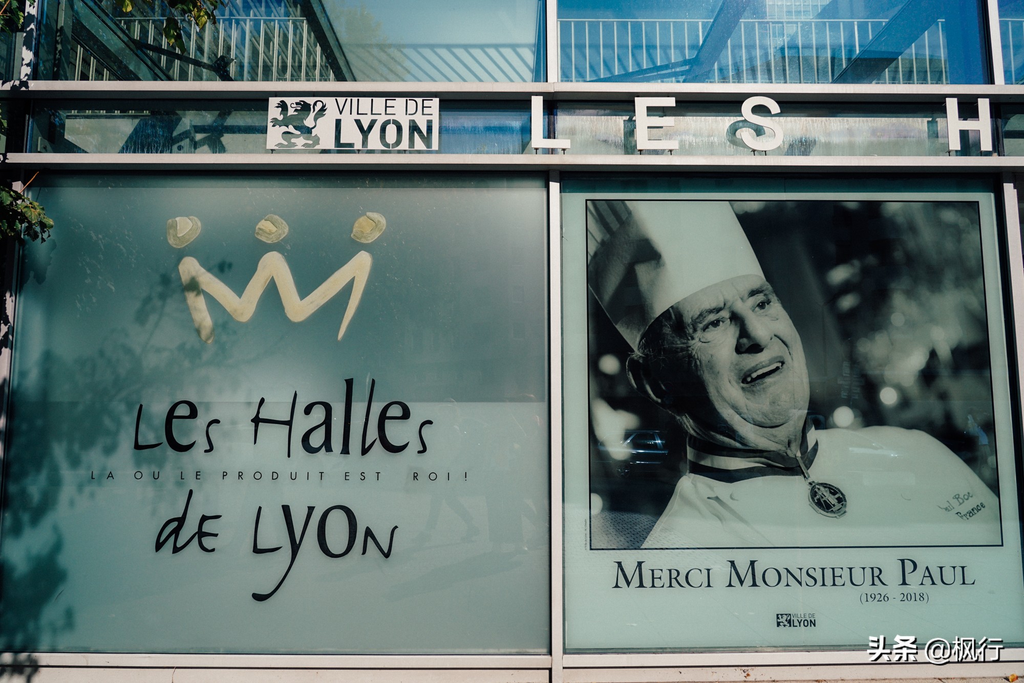 里昂足球,里昂足球队