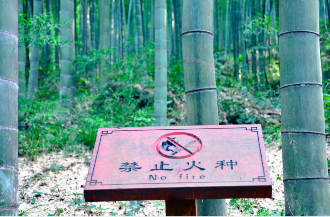 瀹滃叴绔规捣璇︾粏鏀荤暐,瀹滃叴绔规捣娓稿鏀荤暐