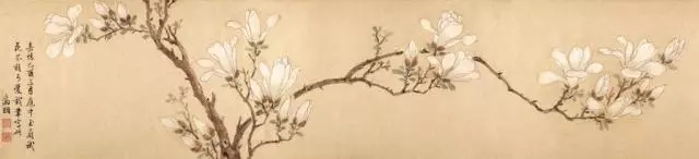 如此高花白于雪，年年偏是斗风开。盛开在诗词中的玉兰花