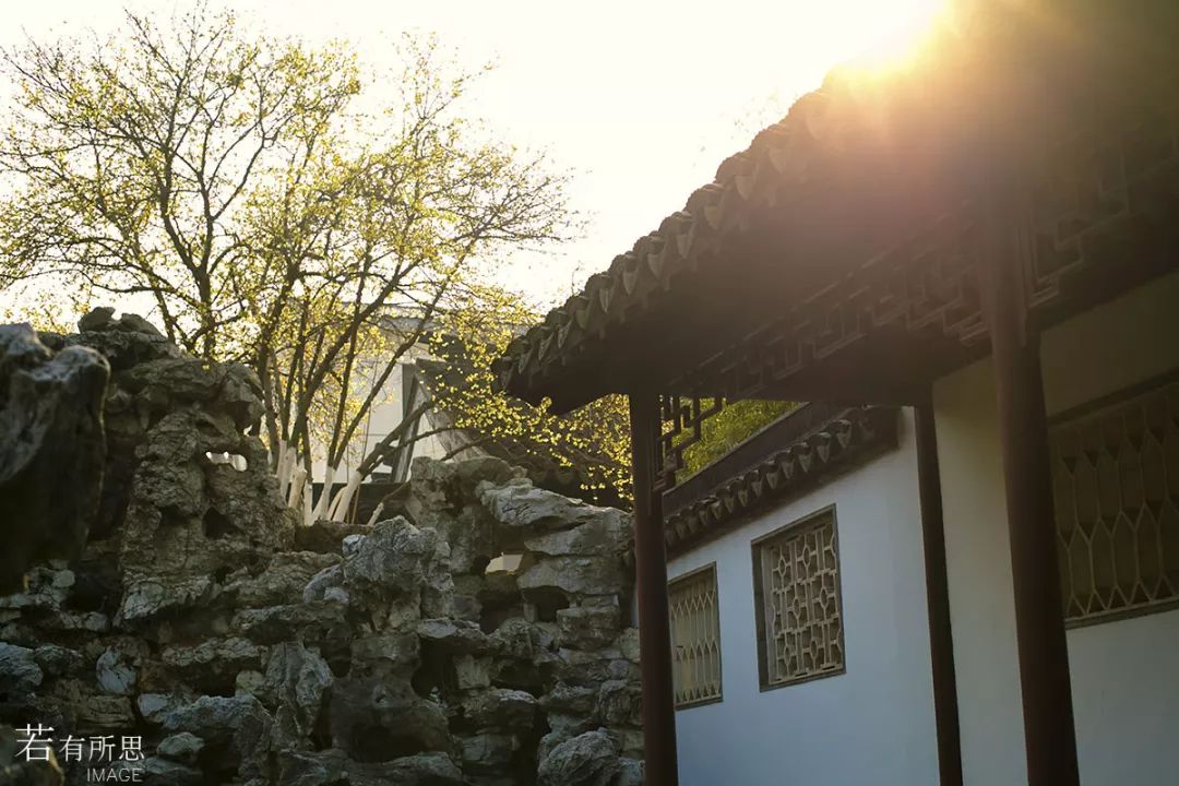 离上海仅1小时，这3座小众安静的江南名园，可惜大多数都没听过！