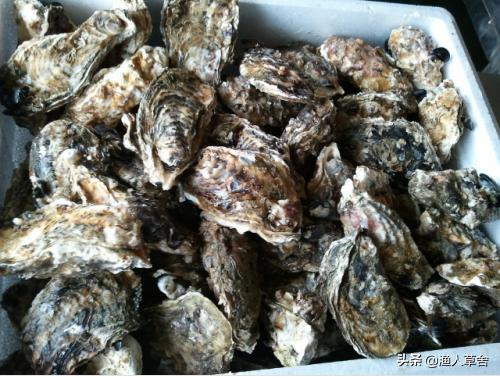 辽宁省大连知名农产品,辽宁省农产品地理标志产品都有啥