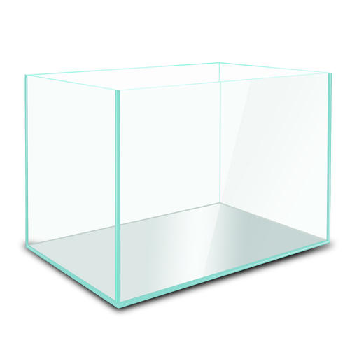 新手养鱼推荐混养品种,新手养鱼入门鱼种混养