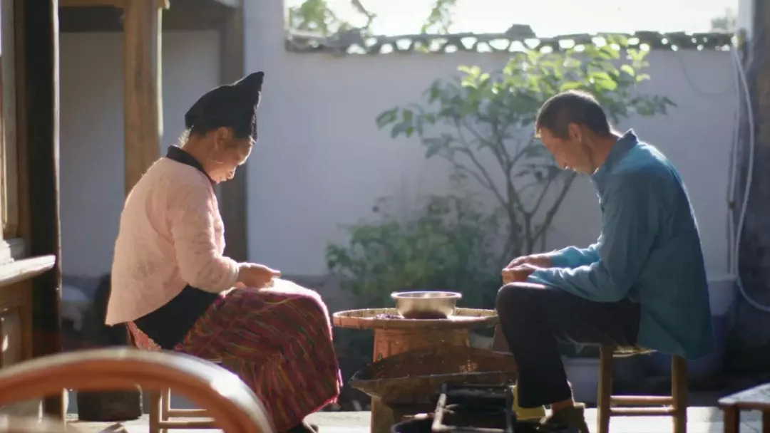 寡人有疾，《本草》有药