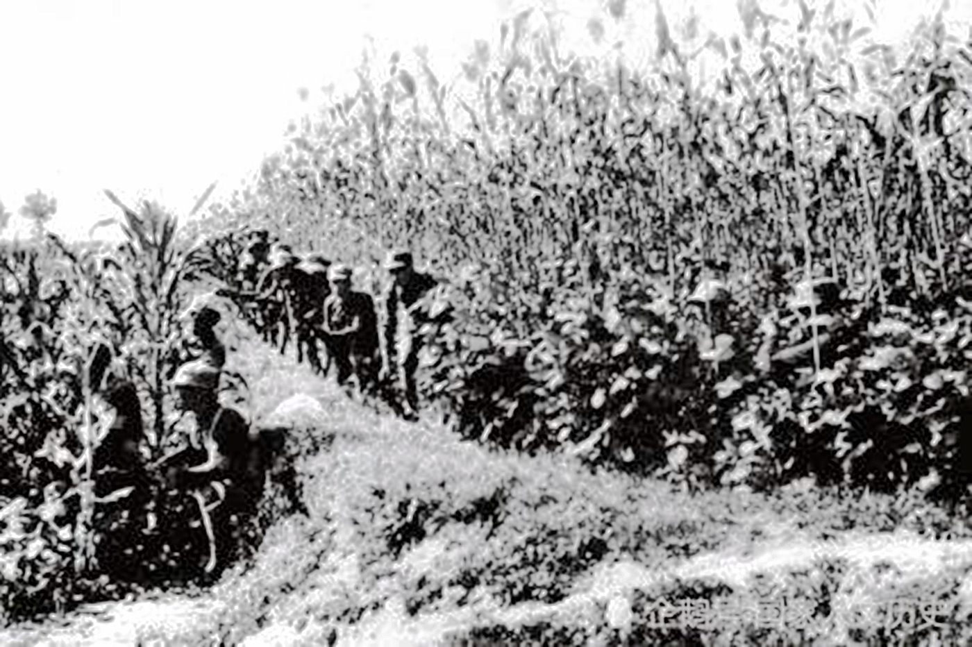 抗日战争中打得最惨烈的一次,抗日战争中的最后一次战斗