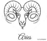 12星座艺术品味,十二星座品味特点