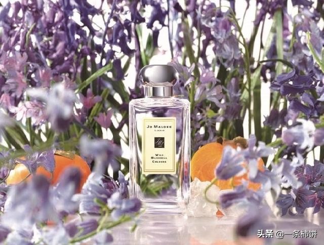 芬芳木质香调味香水,芬芳香水配方