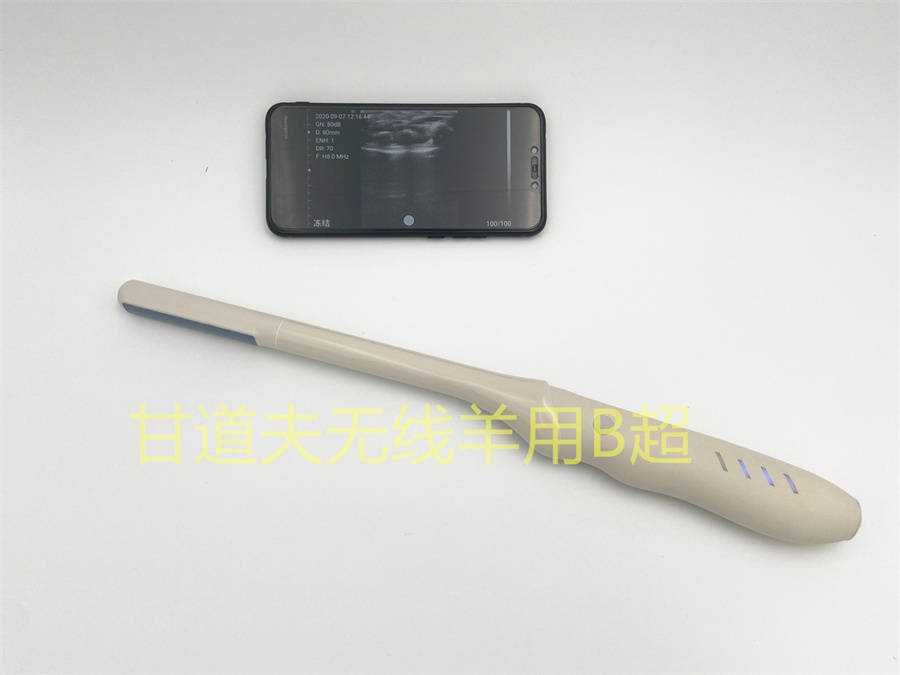 兽用b超机怎么测试猪怀孕,兽用b超机如何看母猪怀孕