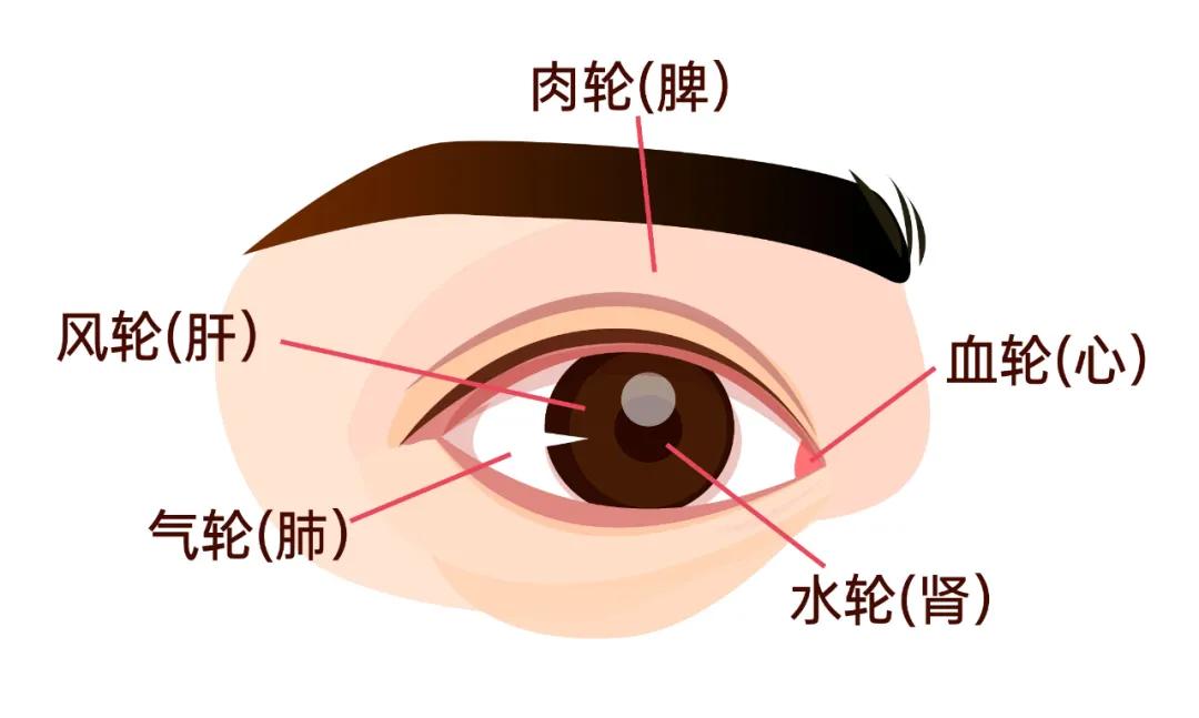 左眼跳财右眼跳灾的真正原因,迷信说左眼皮和右眼跳是什么原因