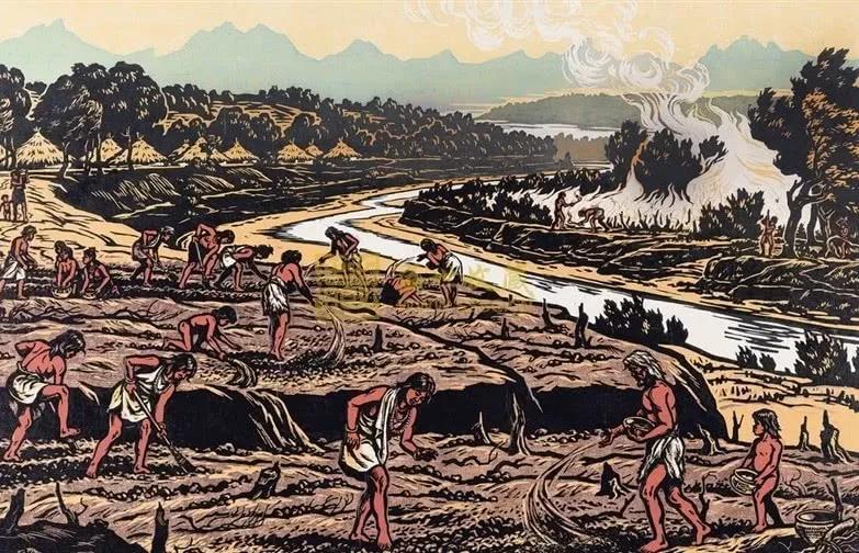 出生地籍贯祖籍有什么区别,籍贯到底是祖籍地还是出生地