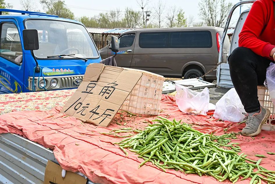 北京京郊大集地理位置,今天京郊哪有大集