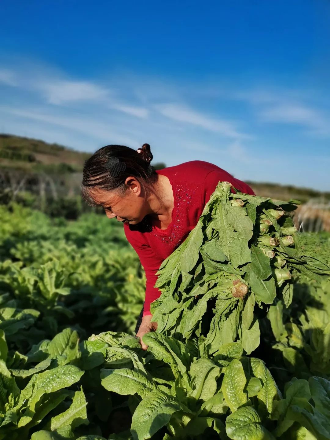 「十堰」城区最快30分钟送达！马云投资的村民直卖店开到郧阳啦