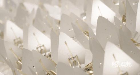 美得足以让人忘记时间流逝,美得让人静止的瞬间