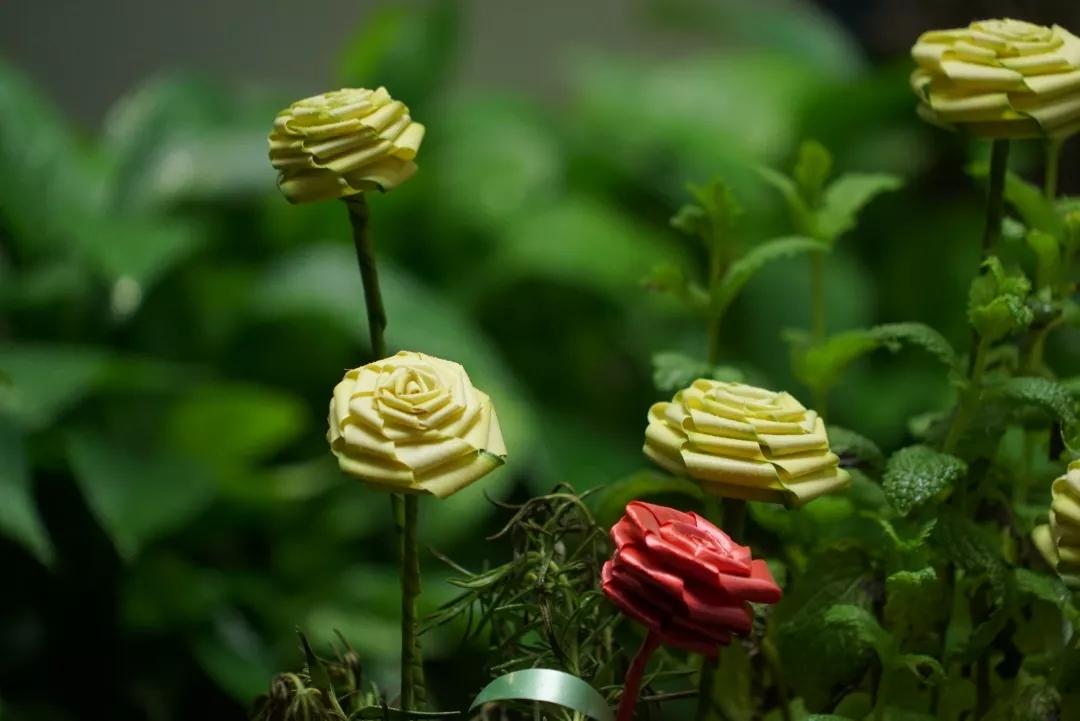 徒手编玫瑰花教程,只需要一把剪刀就能剪出刘海