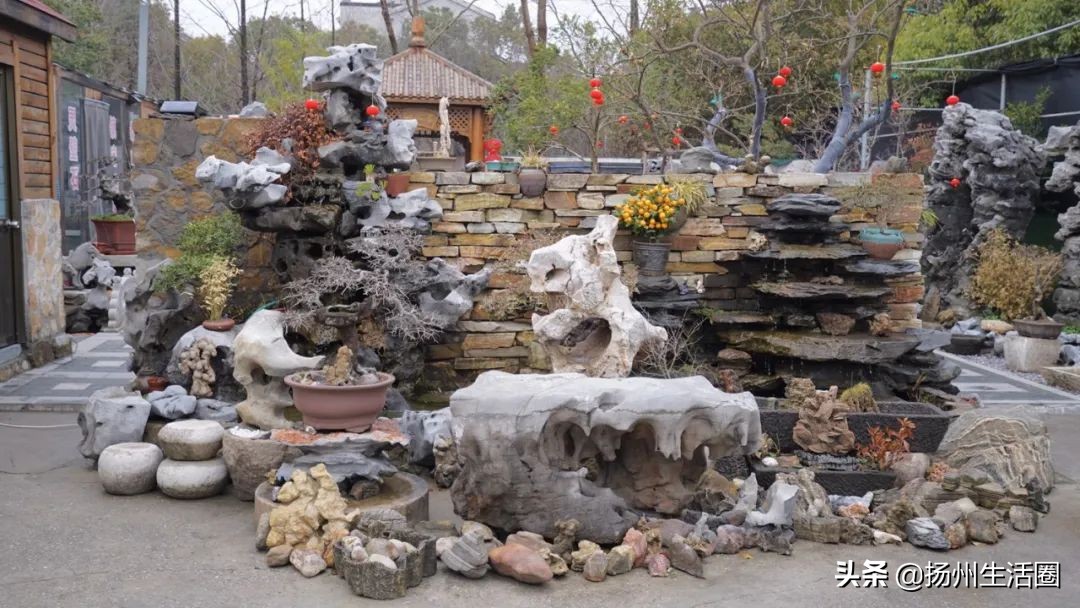 扬州花卉市场大全,扬州西区花卉市场